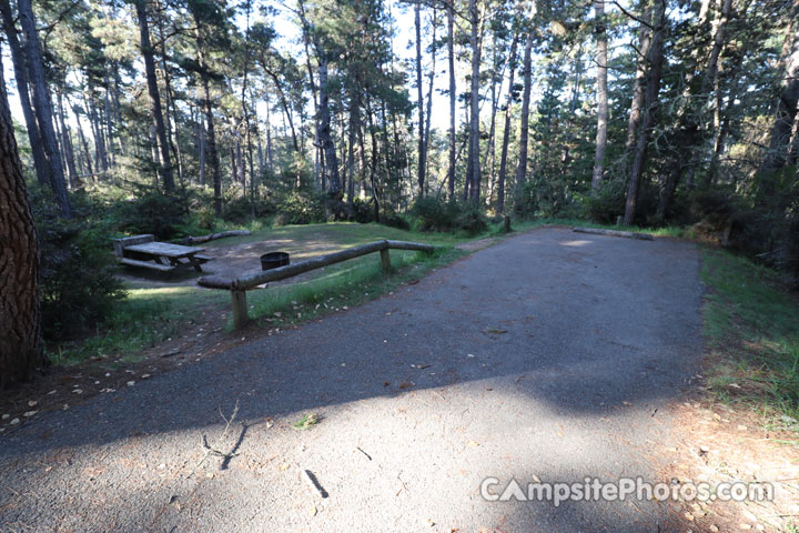 Salt Point State Park Woodside 037