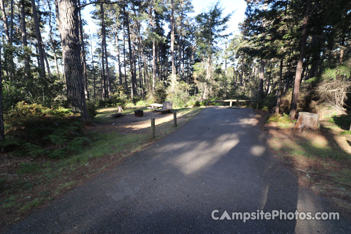 Salt Point State Park Woodside 041