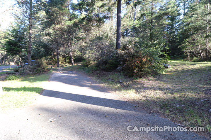 Salt Point State Park Woodside 047