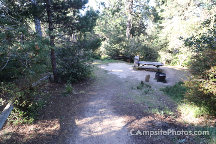 Salt Point State Park Woodside 049