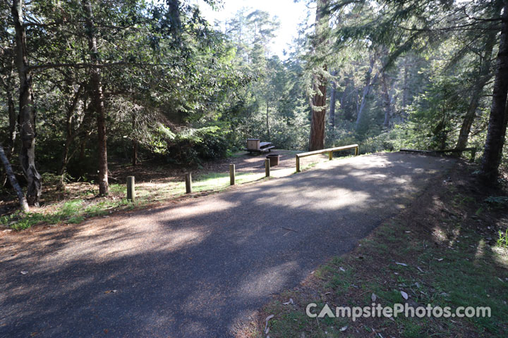 Salt Point State Park Woodside 054