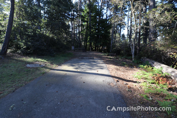 Salt Point State Park Woodside 070