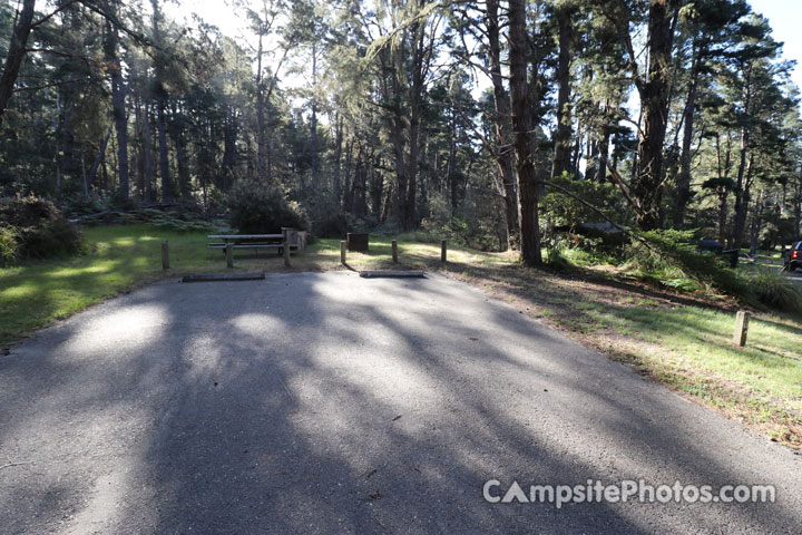 Salt Point State Park Woodside 081