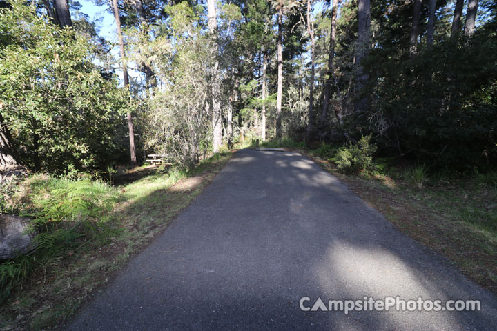 Salt Point State Park Woodside 082