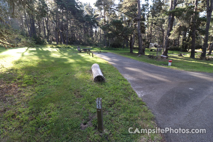 Salt Point State Park Woodside 085