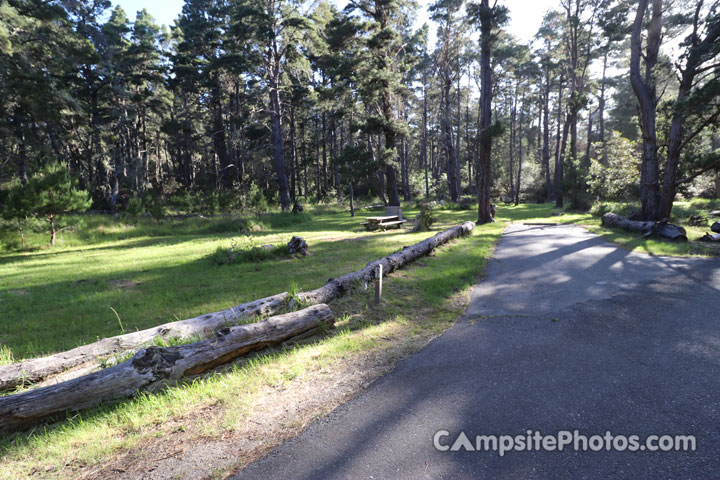 Salt Point State Park Woodside 092