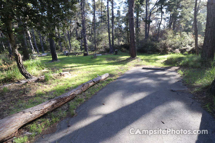 Salt Point State Park Woodside 094