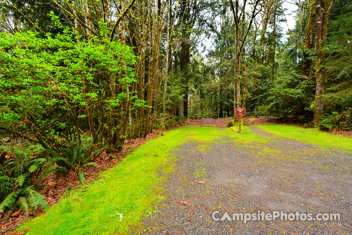 Escape to the Enchanted Forest: Your Guide to Manchester State Park