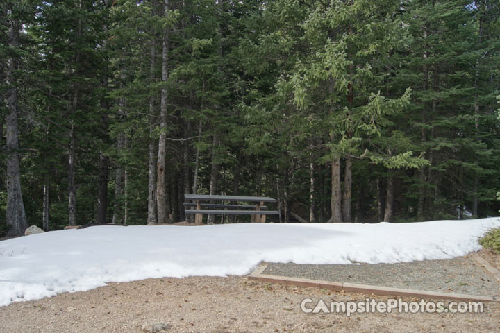 Aspen Meadow 030