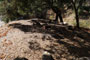 Wheeler Gorge Campground 043 Camp Area