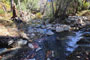 Wheeler Gorge Matilija Creek