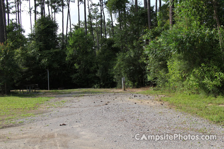 Bogue Chitto Upland Campsite 028