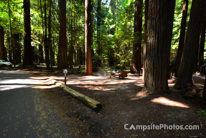 Humboldt Redwoods State Park Burlington 061