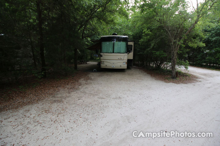 Givhans Ferry State Park 005