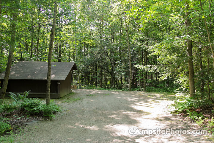 Gifford Woods State Park Fir