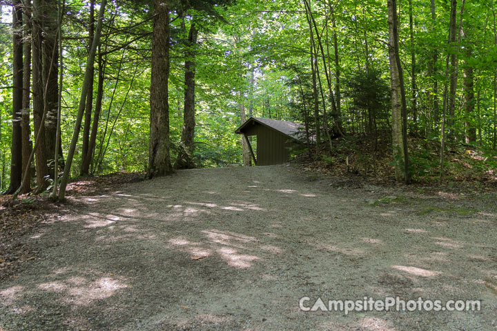 Gifford Woods State Park Hemlock