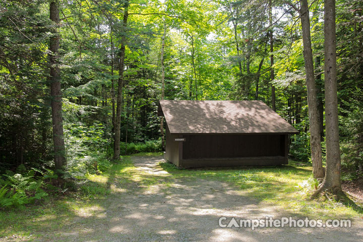 Gifford Woods State Park Hickory