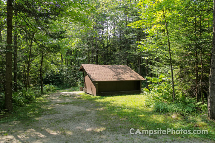 Gifford Woods State Park Pine