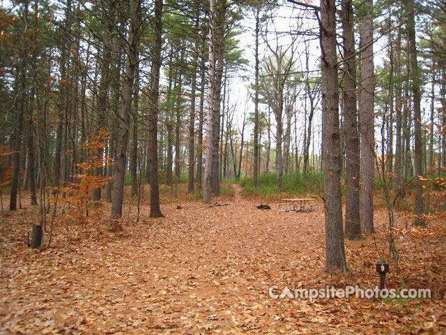 Greenfield State Park 009