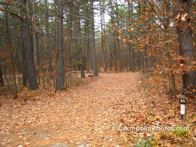 Greenfield State Park 085