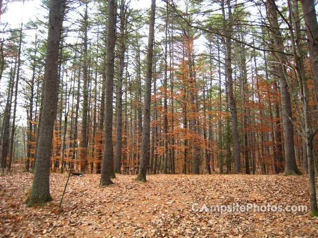 Greenfield State Park 197