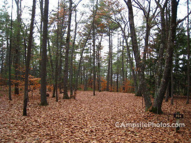 Greenfield State Park 204