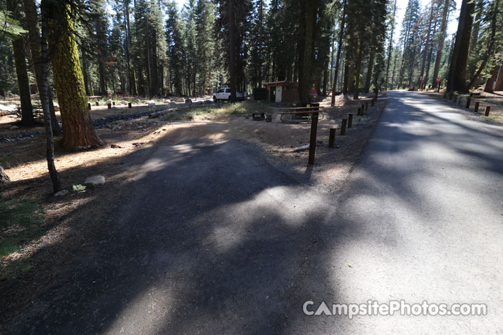 Crane Flat Campground 104