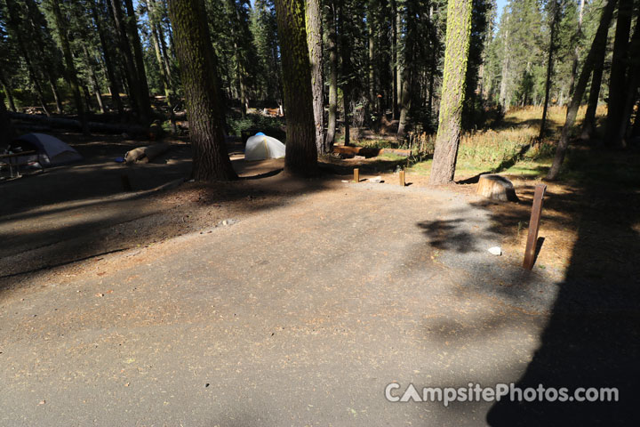 Crane Flat Campground 110