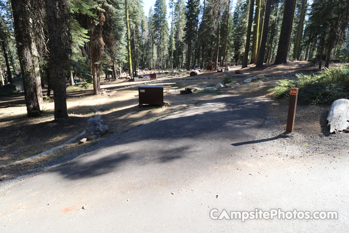 Crane Flat Campground 116