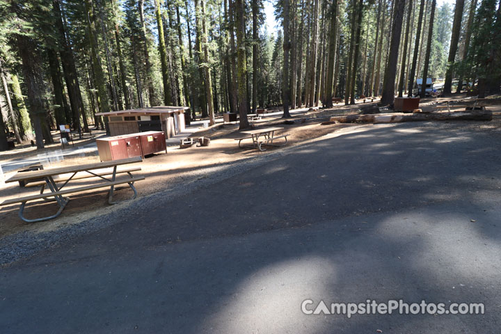 Crane Flat Campground 201