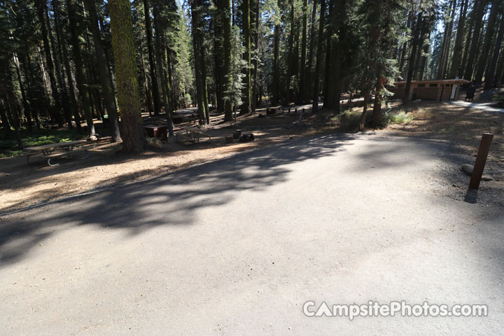 Crane Flat Campground 204