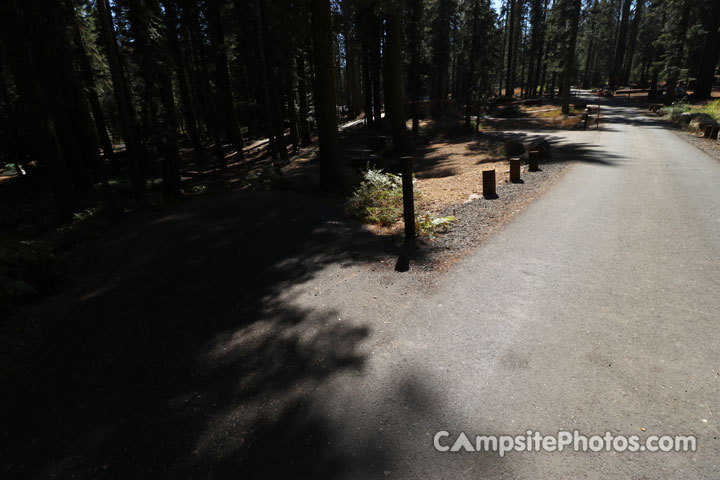 Crane Flat Campground 205