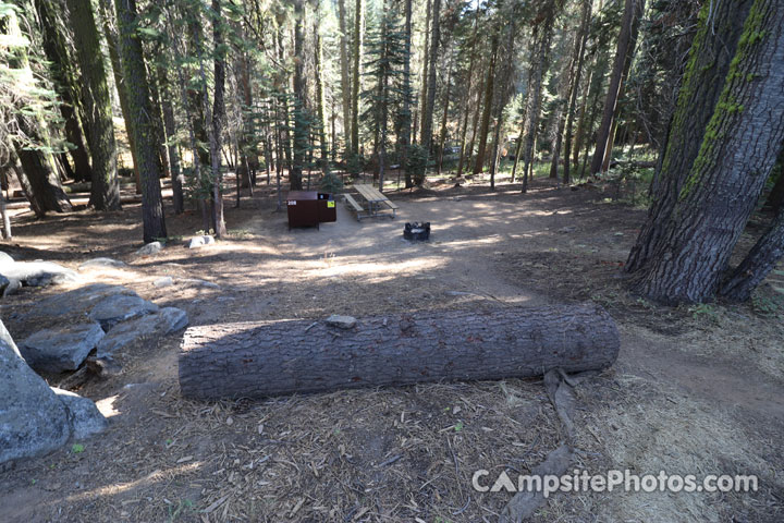 Crane Flat Campground 208