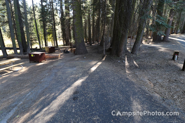 Crane Flat Campground 210