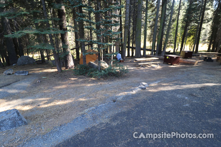 Crane Flat Campground 211