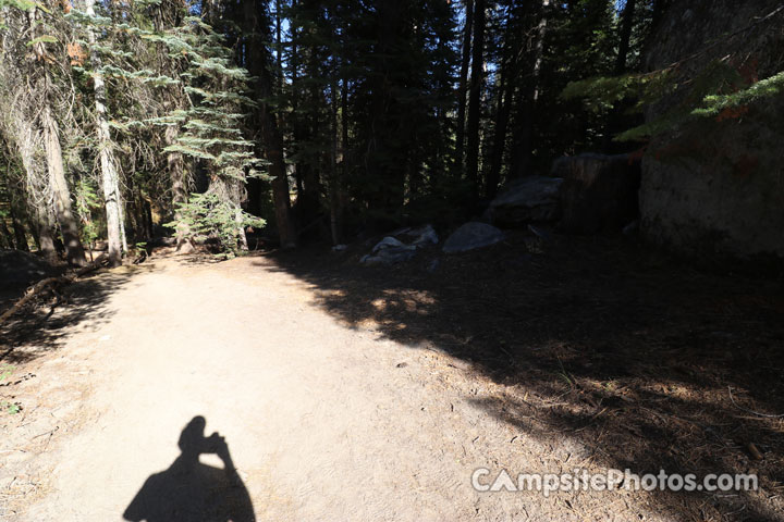 Crane Flat Campground 213