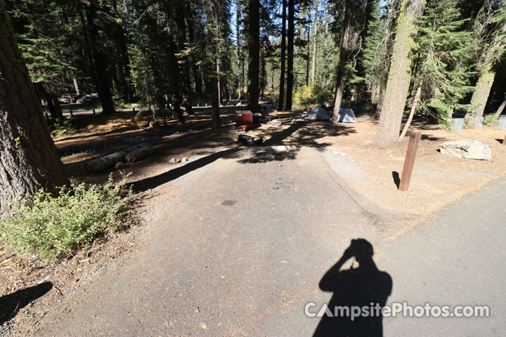 Crane Flat Campground 218