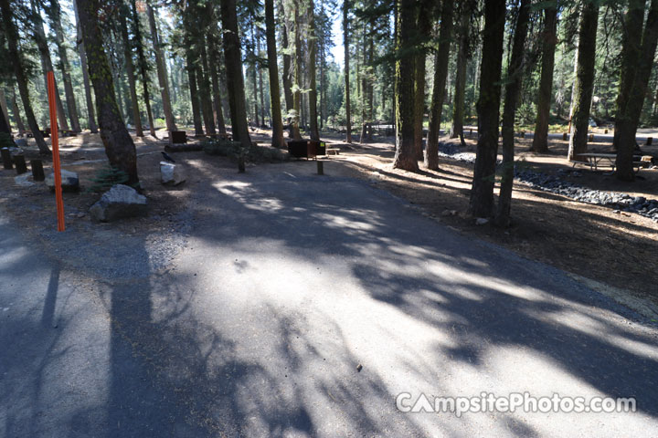 Crane Flat Campground 221