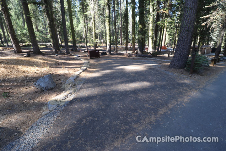 Crane Flat Campground 223