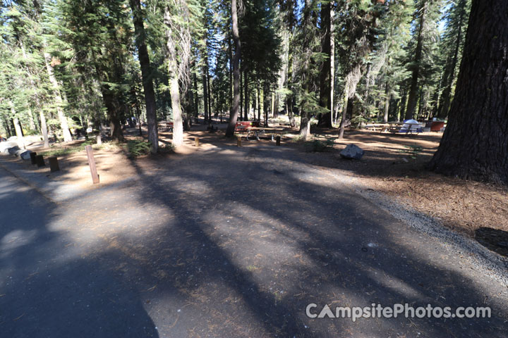 Crane Flat Campground 224