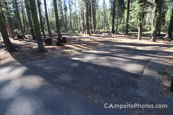 Crane Flat Campground 225