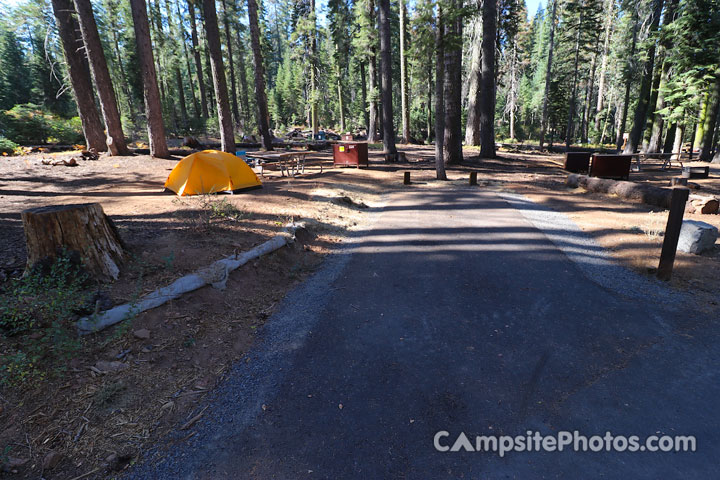 Crane Flat Campground 226