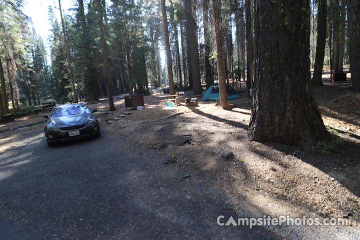 Crane Flat Campground 305