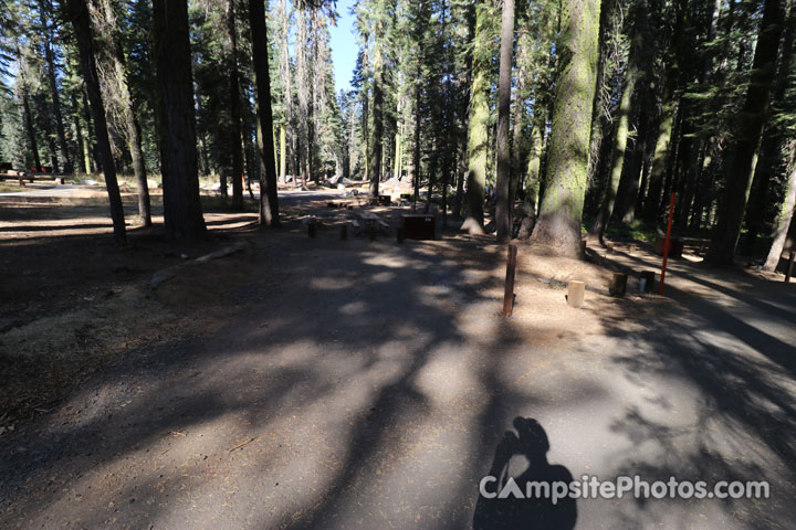 Crane Flat Campground 310