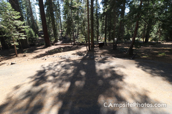 Crane Flat Campground 419