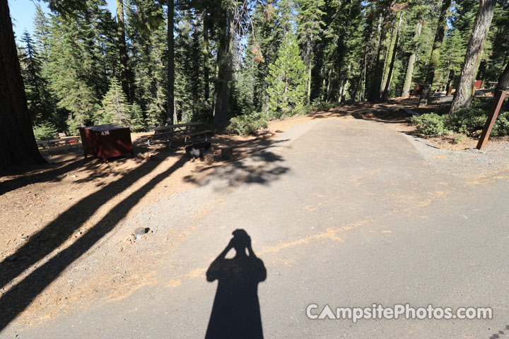 Crane Flat Campground 436