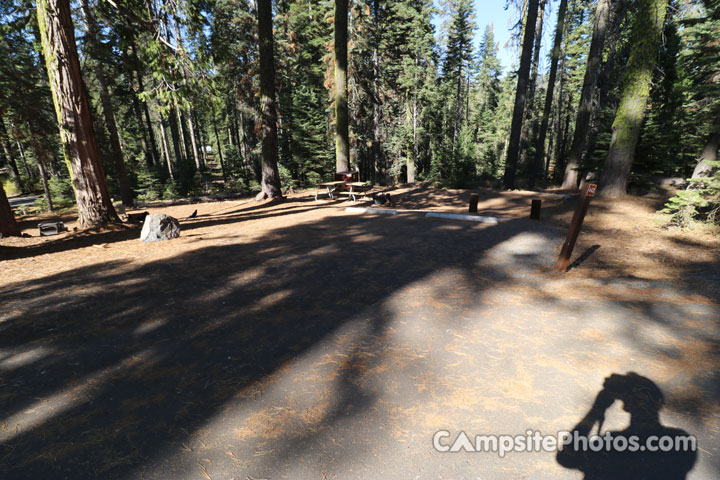 Crane Flat Campground 442