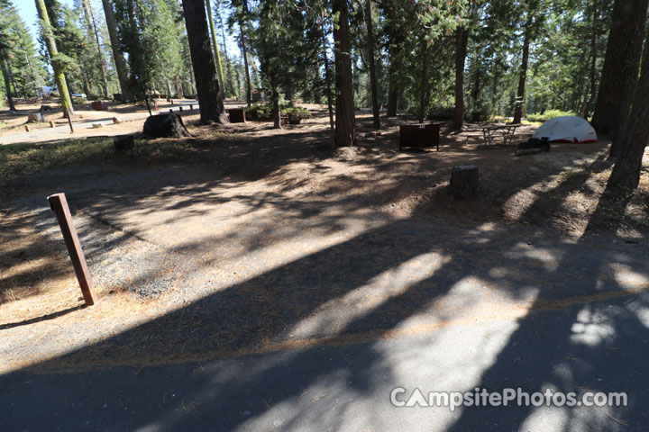 Crane Flat Campground 443