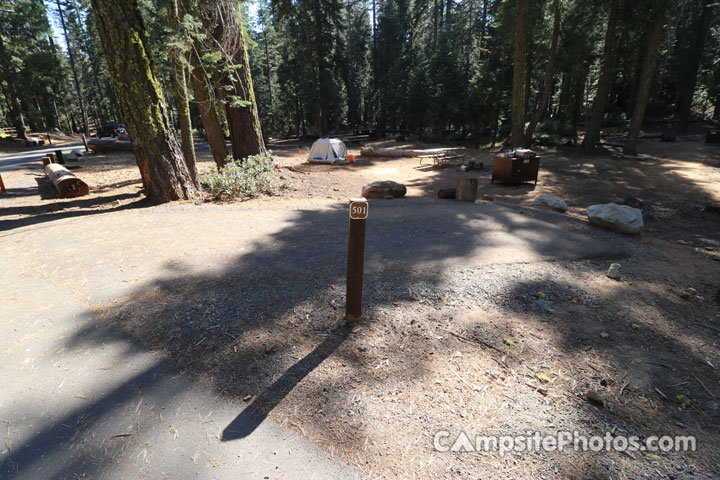 Crane Flat Campground 501