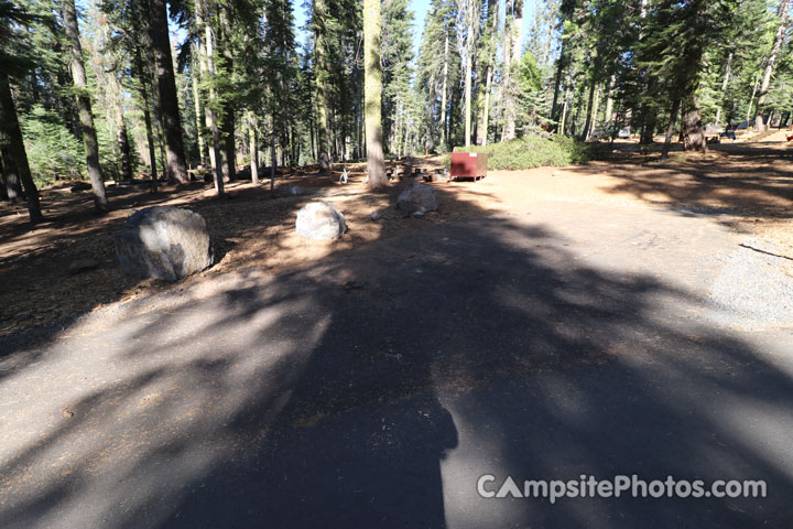 Crane Flat Campground 536